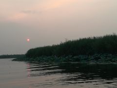 -白洋淀景区