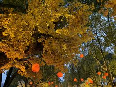 -横店影视城梦幻谷园区