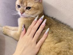 -隅日式美甲美睫專門店