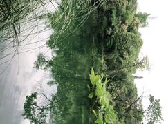 -贵阳市花溪国家城市湿地公园