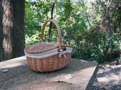 -火炉山森林公园