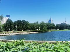 -莲花池公园