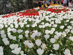 -无锡梅园公园