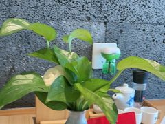 -花和海鲜自助(梅江店)
