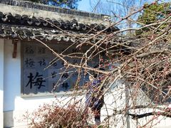 -杭州植物园