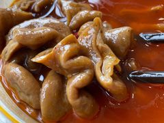 -杨肥肠(盘溪路店)