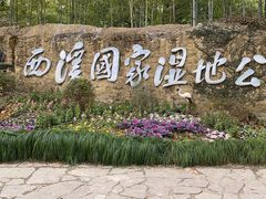 -西溪国家湿地公园