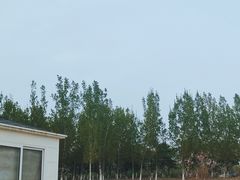 -绿堤公园