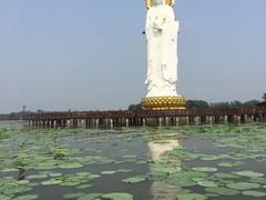 -白洋淀景区