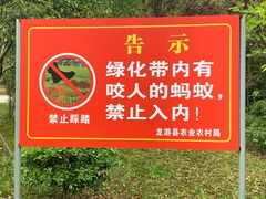 -龙天小镇
