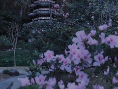 -深圳国际园林花卉博览园