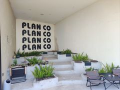-PLAN CO