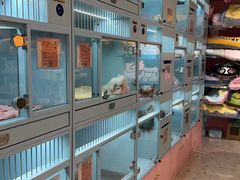 -FAELING PETS美天灵宠物(合生汇店)