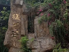 -深圳野生动物园