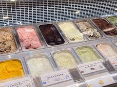 -iceason爱茜茜里·意大利健康冰淇淋(骑龙巷店)