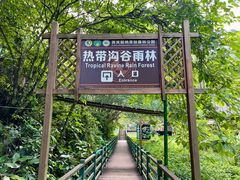 -西双版纳原始森林公园