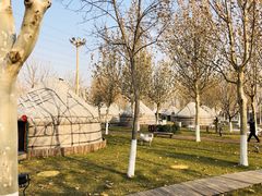 -九十九顶毡房(阜石路店)