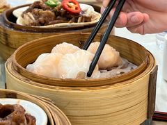 -益健美食大广场(北岭店)