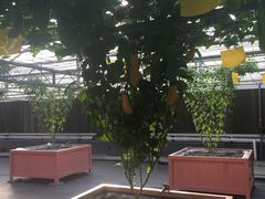 景点-兰陵国家农业公园