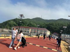 -大鹿岛