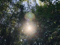 -晓港公园