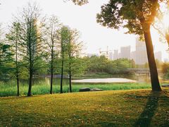 -尚贤河湿地