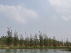 -白洋淀景区