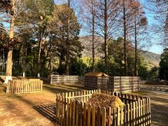 -宝岩生态观光园