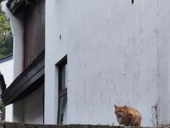 -杭州雅谷泉山庄酒店-餐厅