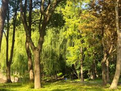 -二扁私房面馆(崂山路店)