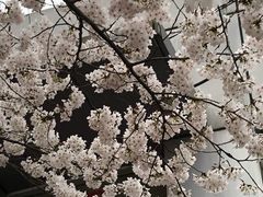 -上海南浦大桥长途旅游客运站