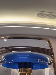 -美瑞莎创美医疗美容