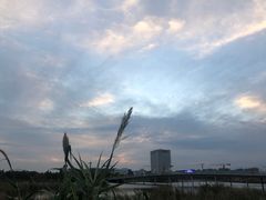 -南汇嘴观海公园