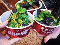 -黑色经典臭豆腐·湖南特产(潇湘文化店)