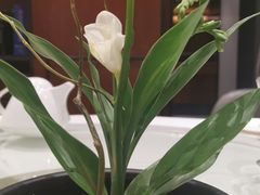 -张福记(五一公园店)