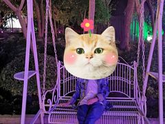 -枫花园汽车电影院(朝阳公园店)