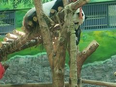 -黔灵山公园