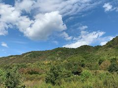 -塔川景区