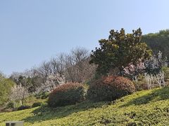 -云龙湖旅游景区