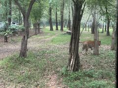 -秦皇岛野生动物园