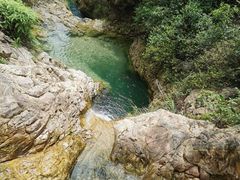 -南海湾森林生态园