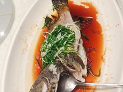 -大东海海鲜酒楼(渔人码头总店)