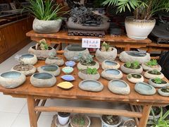 -屯溪老街