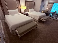 -澳门威尼斯人综合度假区