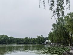 -洛阳市隋唐城遗址植物园