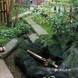 一定要在院子里种一棵枫树，庭院里的枫树每至晚秋