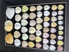 -摩登百货(岗顶店)