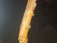 -塔斯汀中国汉堡(合汇店)