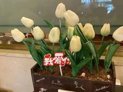 -宜昌富力皇冠假日酒店·咖啡1号西餐厅