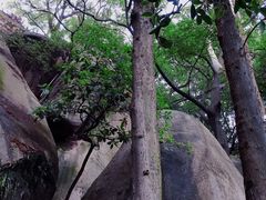 -云洞岩风景区